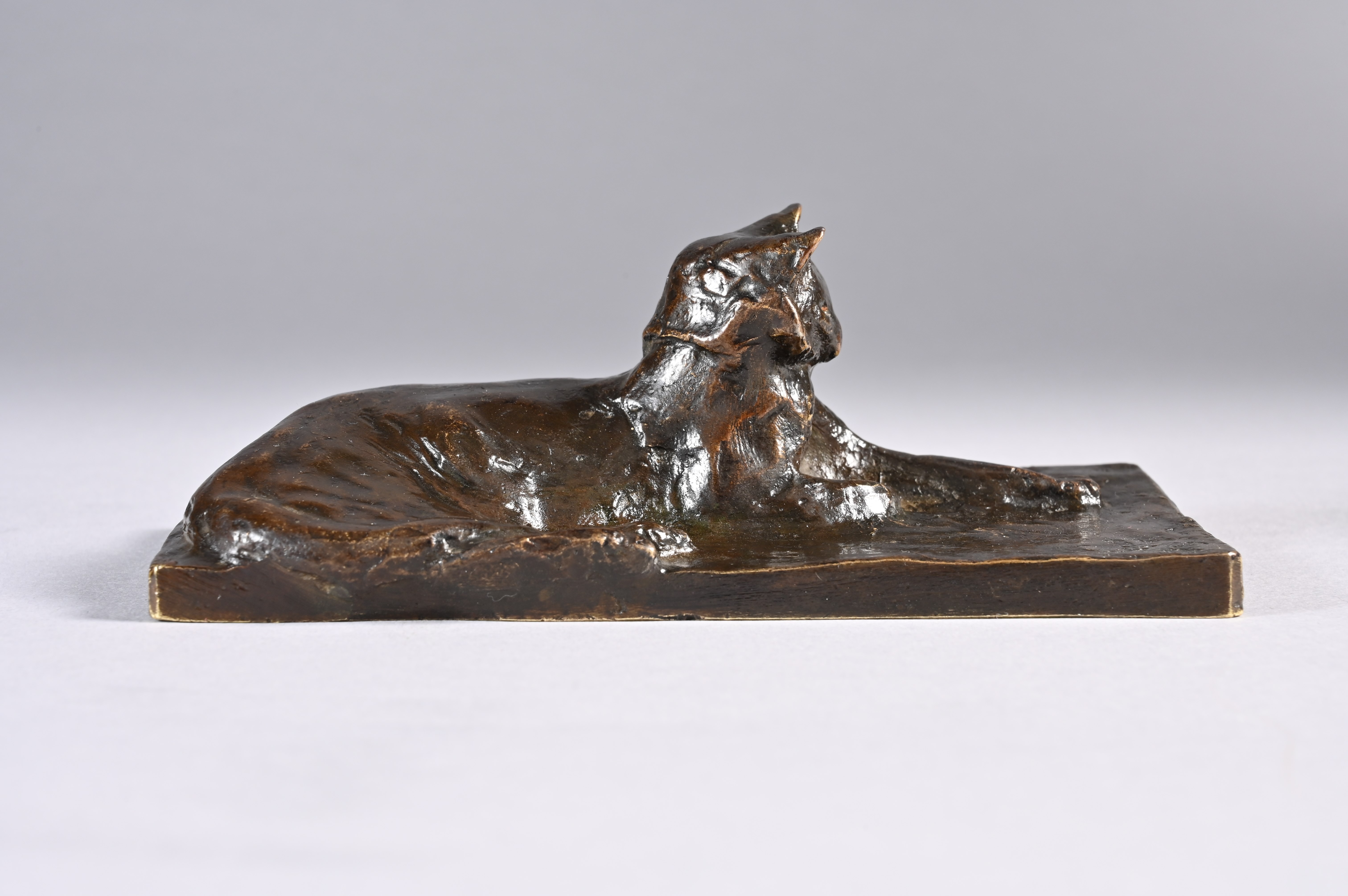 CHAT COUCHÉ oreilles dressées